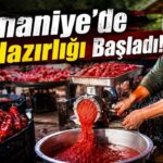 Osmaniye’de Salçalık Biber Mesaisi Başladı