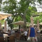 Sinop’ta emekliler geçim sıkıntısını anlattı: ‘Geçinme şansımız yok’