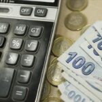 Türkiye’nin vergi rekortmenleri belli oldu: İzmir’den yalnızca 3 isim var