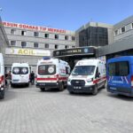 Van’da göle giren 2 kardeş can verdi