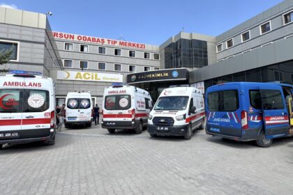 Van’da göle giren 2 kardeş can verdi